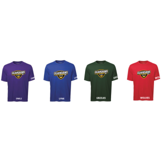 Adult/Youth Short Sleeve Colour House Shirt